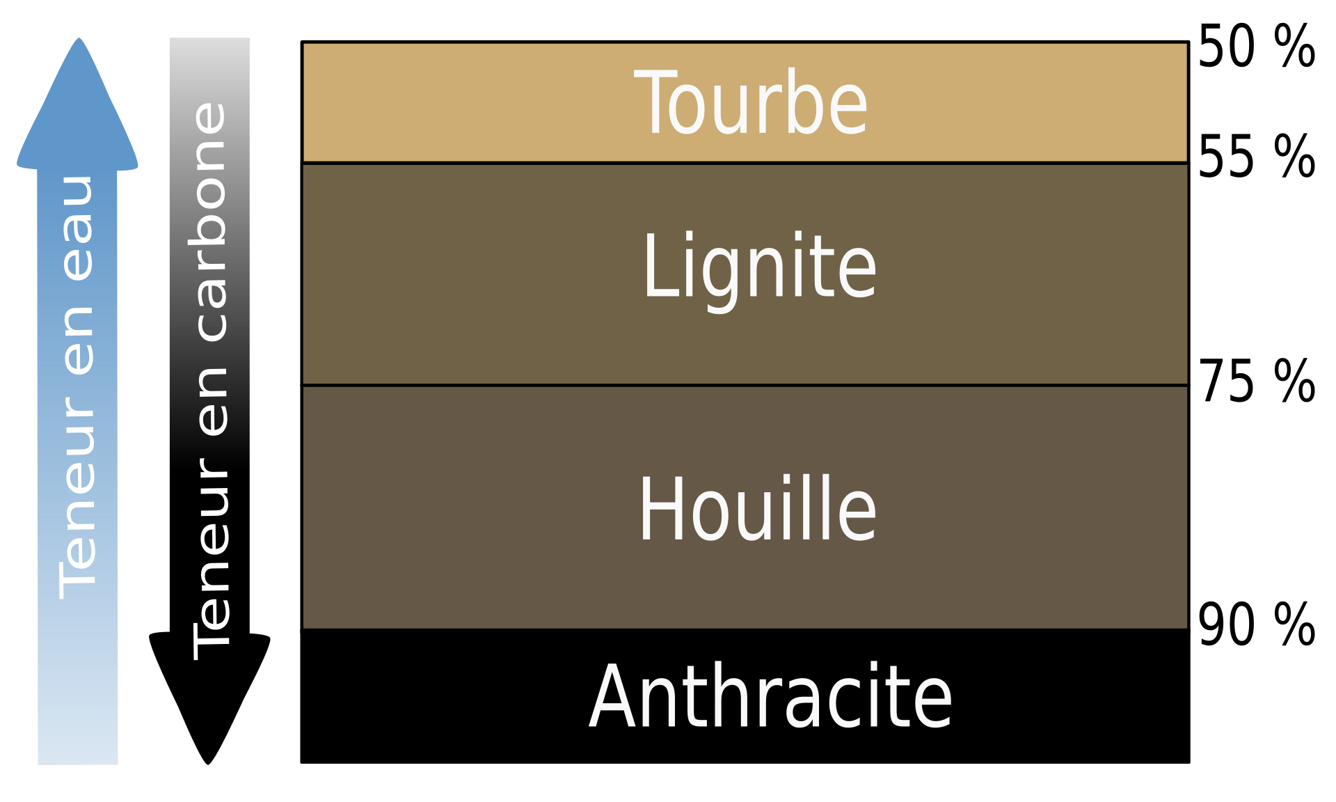 type charbon